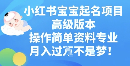 小红书宝宝起名项目高级版本，操作简单，资料专业，月入过W-第一人副业终点站