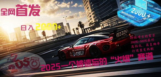 全网首发：2025一个被遗忘的“火爆”赛道轻松日入多张-第一人副业终点站