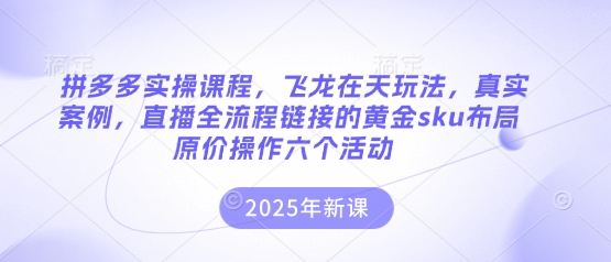 拼多多实操课程,飞龙在天玩法,真实案例,直播全流程链接的黄金sku布局原价操作六个活动-第一人副业终点站