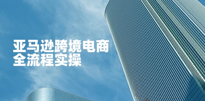 （14252期）亚马逊跨境电商全流程实操，教你从零开始，掌握店铺运营与广告技巧-第一人副业终点站