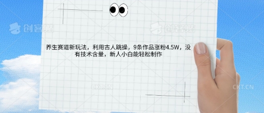 AI养生赛道新玩法，10条作品涨粉5.2W，操作简单，新人小白能轻松制作-第一人副业终点站