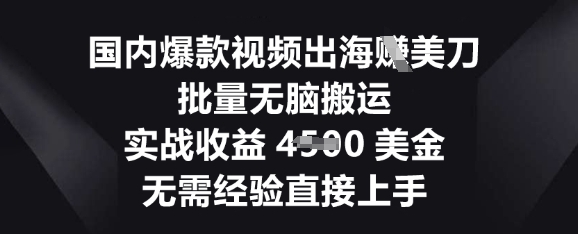 国内爆款视频出海挣美刀，批量无脑搬运，实战收益4.5k，无需经验直接上手-第一人副业终点站