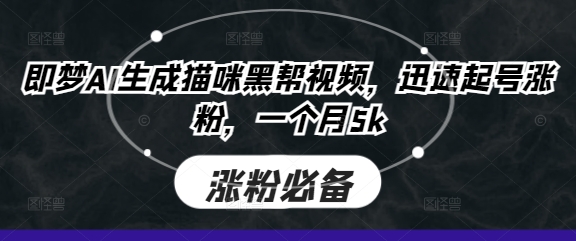 即梦AI生成猫咪黑帮视频，迅速起号涨粉，一个月5k-第一人副业终点站