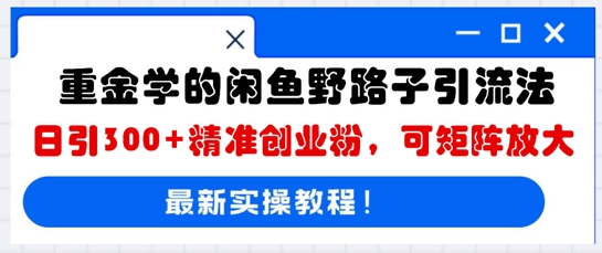 重金学的闲鱼野路子引流法，日引300+精准创业粉，可矩阵放大-第一人副业终点站