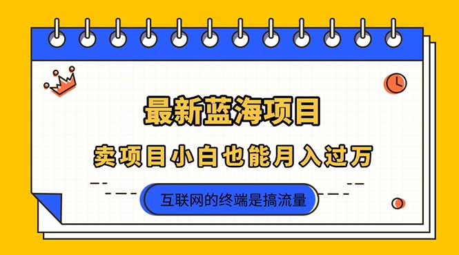 (14289期)2025年最新蓝海项目,卖项目小白也能月入过万-第一人副业终点站
