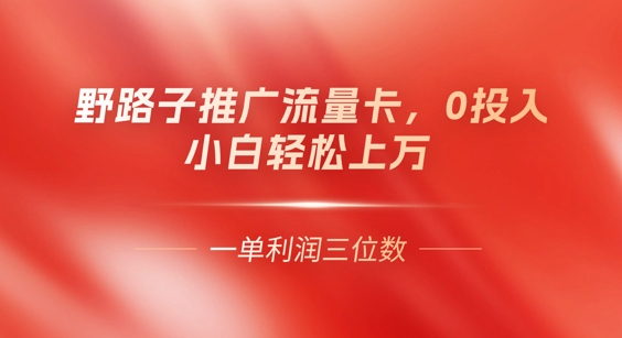 0门槛推广流量卡,一单收益上百,0投入,小白月入过W-第一人副业终点站