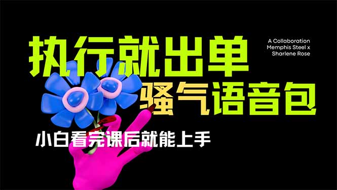 （14170期）爆火全网的开车导航骚气语音包,只要执行就出单，小白看完课程就能实操...-第一人副业终点站