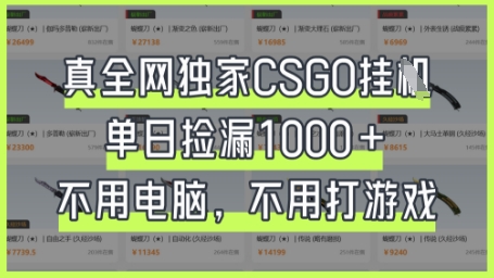真全网独家CSGO挂G，单日捡漏1k+【揭秘】-第一人副业终点站