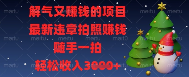 解气又挣钱的项目,最新违章拍照挣钱,随手一拍,轻松收入数张【揭秘】-第一人副业终点站